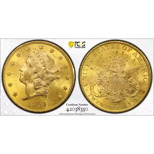 1899-S $20 (2)