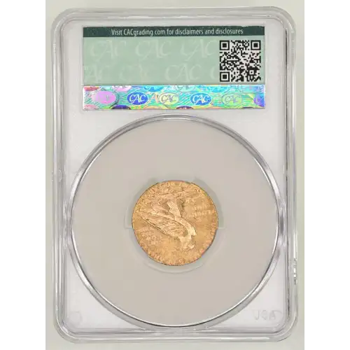 1909D 5 Indian CACG MS63 (3)