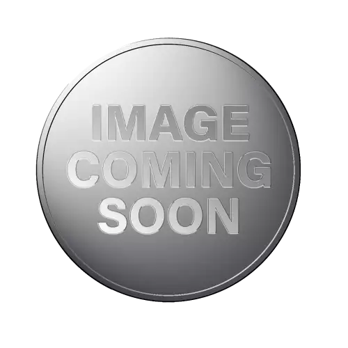 1992 2oz Australian Perth Mint Platinum Koala